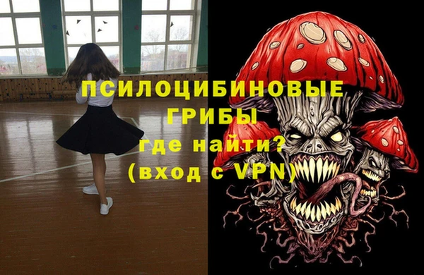 прущие грибы Каменногорск