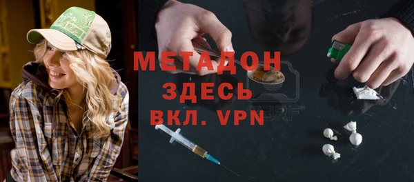прущие грибы Каменногорск