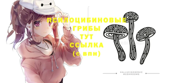 прущие грибы Каменногорск