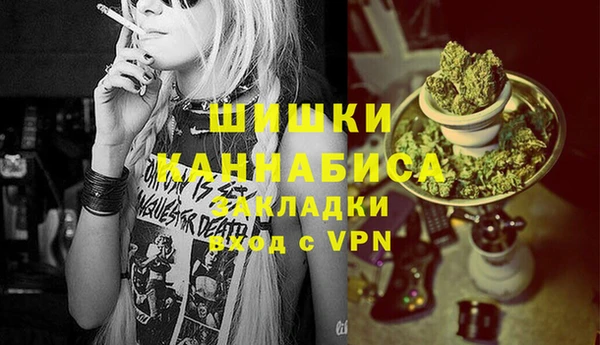 прущий лед Каменка