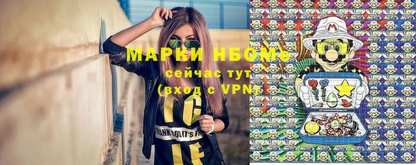 прущий лед Каменка