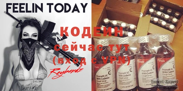 прущие грибы Каменногорск