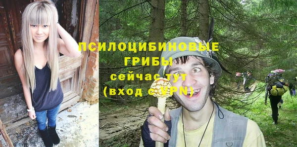 прущие грибы Каменногорск