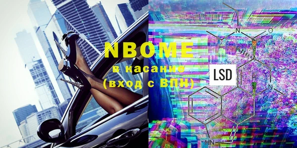 прущие грибы Каменногорск