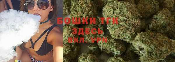 прущие грибы Каменногорск