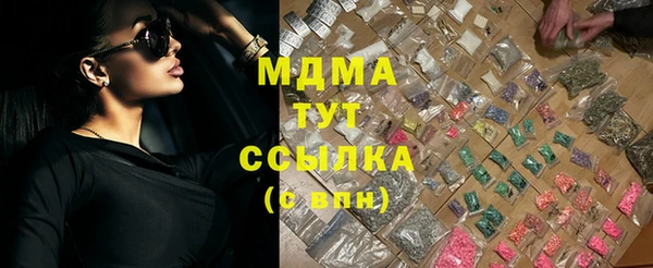 прущие грибы Каменногорск