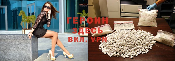 прущие грибы Каменногорск
