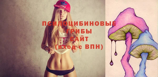 прущий лед Каменка