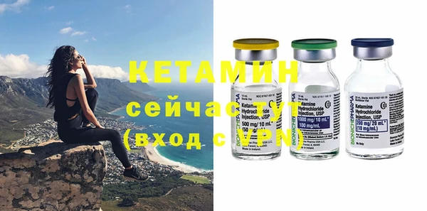 прущие грибы Каменногорск