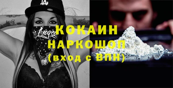 прущий лед Каменка