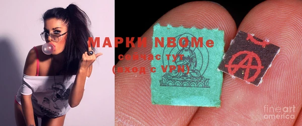 прущие грибы Каменногорск